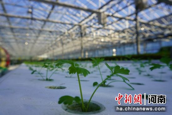 �D��DFT�Ό�֧��ˮ������������B���� �z