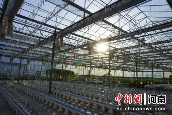 �D����ԭ�r(n��ng)�����ܜ������B���� �z