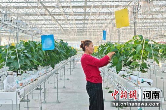 �D�鹤���ڌ�(du��)ˮ���߲��M(j��n)���ճ��S�o(h��)����� �z