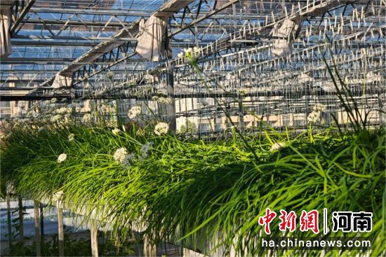 �D��ˮ��²������ �z