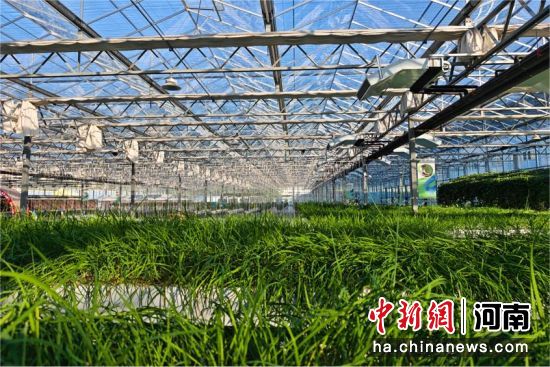 �D��ˮ��²�����ʿ�� �z