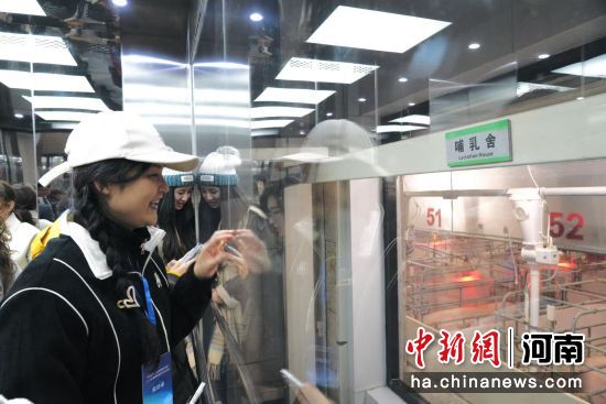 �D���_(t��i)����ý�w�ĘI(y��)�߅��^���ܻ��B(y��ng)ֳ��(ch��ng)�����ь� �z