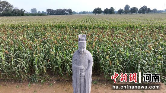 �D����̩����^(q��)��(n��i)��ʯ�����͸����ء�(�o�˙C��Ƭ)�R�� �z