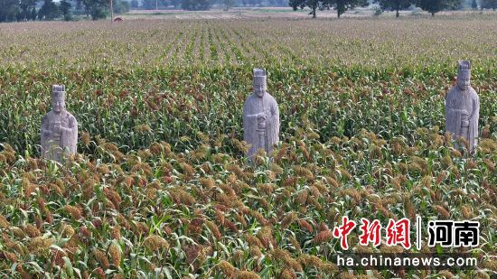 �D����̩����^(q��)��(n��i)��ʯ�����͸����ء�(�o�˙C��Ƭ)�R�� �z