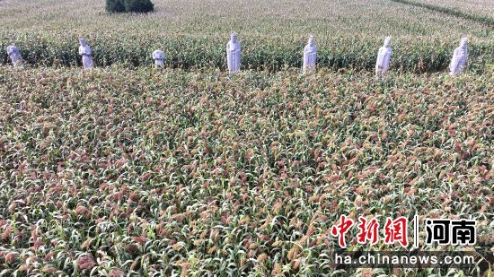 �D����̩����^(q��)��(n��i)��ʯ�����͸����ء�(�o�˙C��Ƭ)�R�� �z