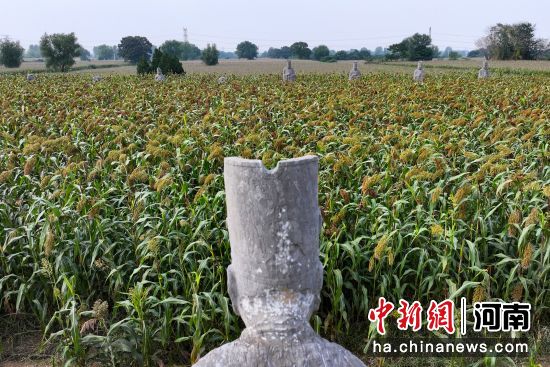 �D����̩����^(q��)��(n��i)��ʯ�����͸�������(�o�˙C��Ƭ)�R�� �z