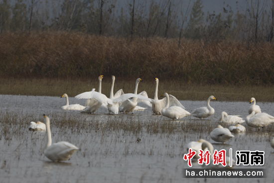 �D������Z��ˮ�����ґ��������� �z