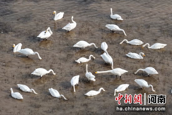 �D������Z��ˮ��Ғʳ�������� �z