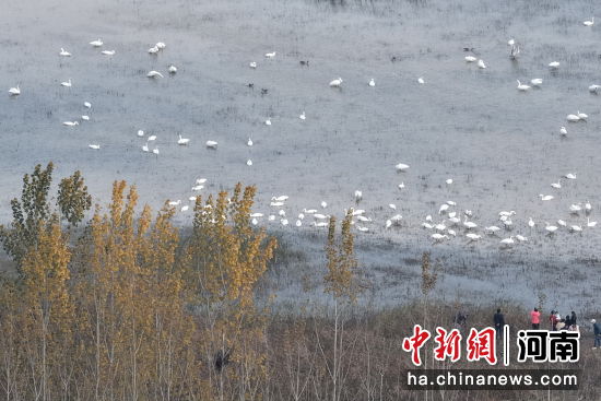 �D������Z��ˮ������߮�������� �z