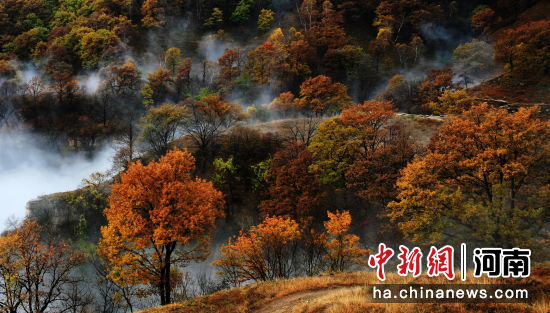 �D������ɽ�ﾰ��