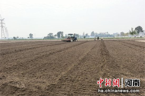 �D�������C(j��)�ڷ���������