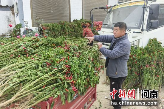 �D���r(n��ng)���ڰ��\(y��n)������