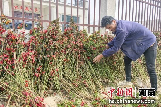 �D���r(n��ng)��������������