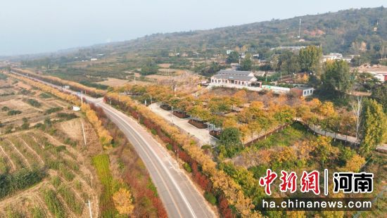 �D����ɽ���^(q��)�ʺ�·�ɂ�(c��)���ֱMȾ��