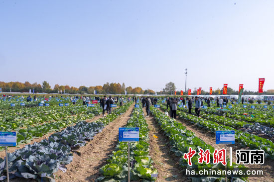 �D��F(xi��n)��չʾ���߲�Ʒ�N���ݝ�(j��)�^(q��)ί���������D