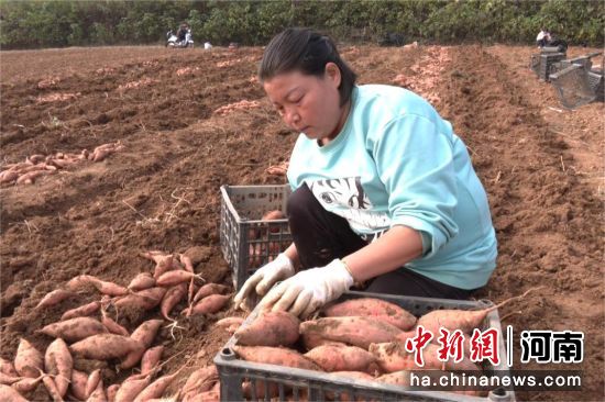 �D��������ڌ��t�����������