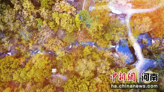 �D��̫���ݼ�������ɫ�����^(q��)���D