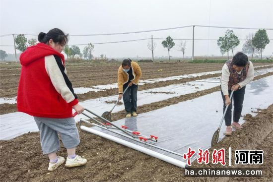 �D����������w��Ĥ��