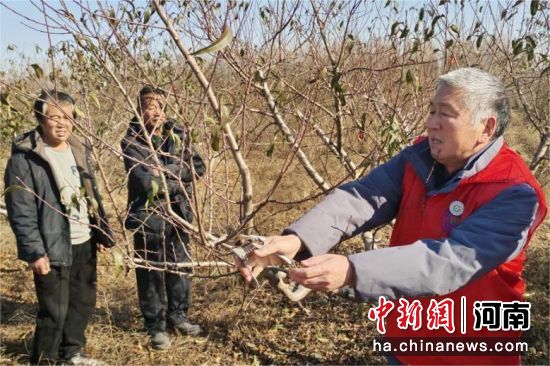 �D�����ɆT������r�v���޼�������