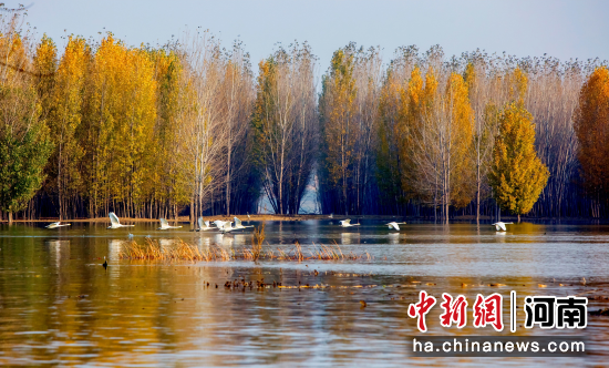 �D����I�^(q��)���ٝ�صİ����Z�����I�^(q��)�Ļ������ξֹ��D