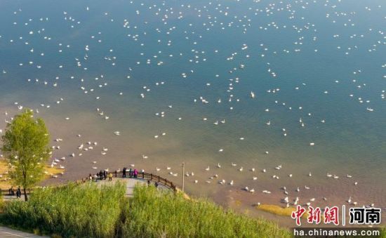 �D�����Z�����T�{�S�ӝ��Խ�����O�� �z