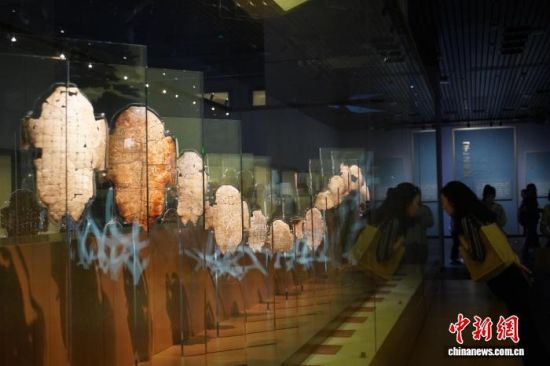 2024��6��12�����^�������沩���^���^�׹������¾W(w��ng)