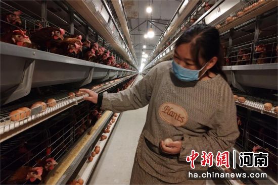 �D�鹤���ˆT�ڲ鿴���u�B(y��ng)ֳ��r��