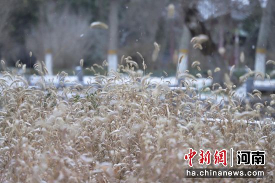 �D�������_���@ѩ����