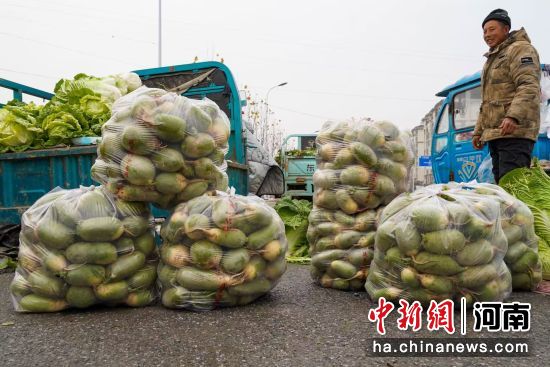 �D�������xُ�}���������A �z