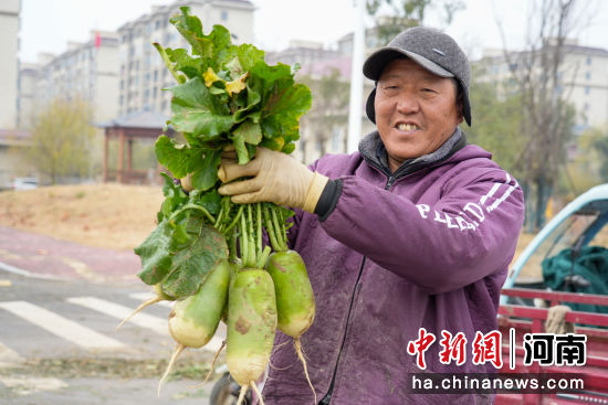 �D���r(n��ng)��չʾ�����}����ӛ�� �R�� �z