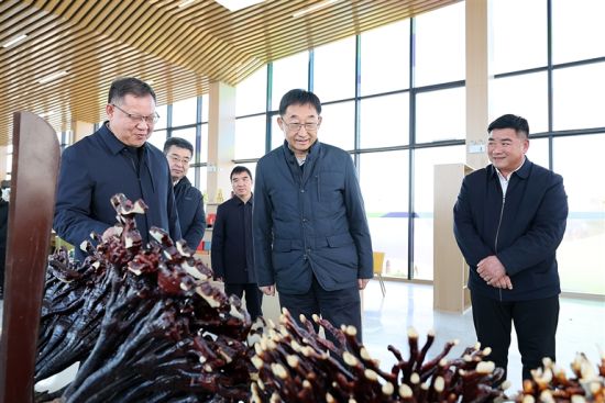 ��12��28����ʡί��(sh��)ӛ�������Կh���P(gu��n)�(zh��n)�~�X�壬�{(di��o)�е���ˎ�ĵ���Ȼ�YԴ���o(h��)�ͺ����_(k��i)�l(f��)������r��ӛ�� ���� �z