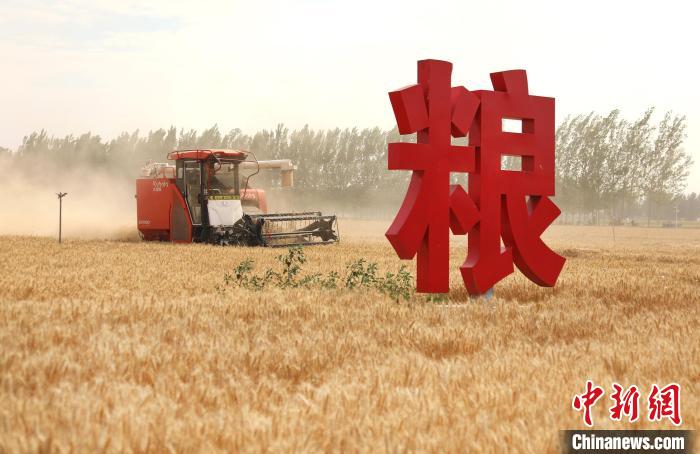 ������?zh��n)ջ����Y(ji��)�� AI�ȿƼ��ֶ��@����