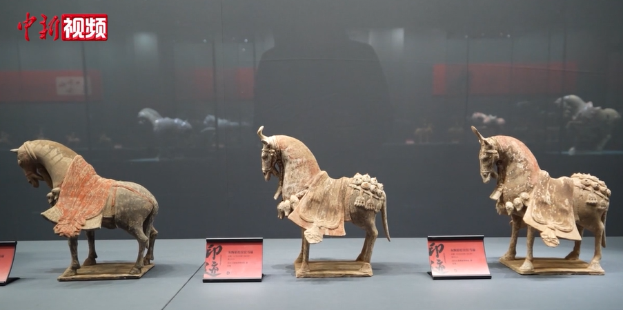 �R��Ԓ(hu��)?c��i)R���������ݰ�����մ������v���Ї�(gu��)�Ŵ��R�Ļ�