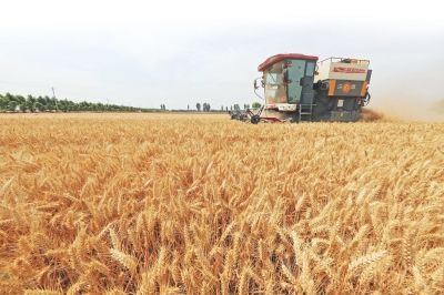 ȫ�������ġ���Ҏ(gu��)ģС���C��ȫ��չ�_