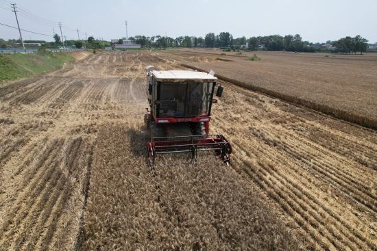 С�������Mչ������挦�������ꡱԓ����a�̰壿