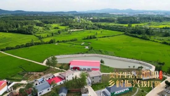 ��a(ch��n)ֵ10�|Ԫ��I(y��)������� ��������ɫС�(zh��n)����ƬԽ��Խ��