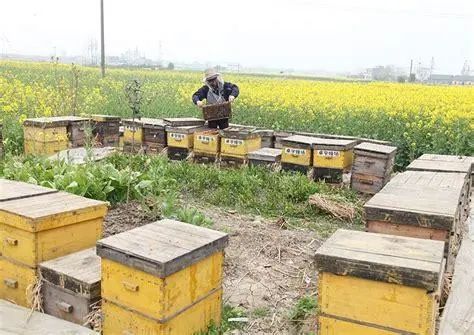 �����L(zh��ng)��ץ��ɫ�d�a(ch��n)�I(y��) �ۺ�����ȫ��