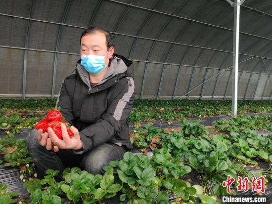 ����һ�߲ˮa(ch��n)�I(y��)�壺�㲻�����u�� ���g���^��(sh��)�X