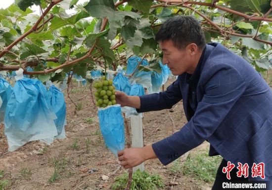 �S�Օr��(ji��)���x����ԭ�Z�}�����S���ܴa