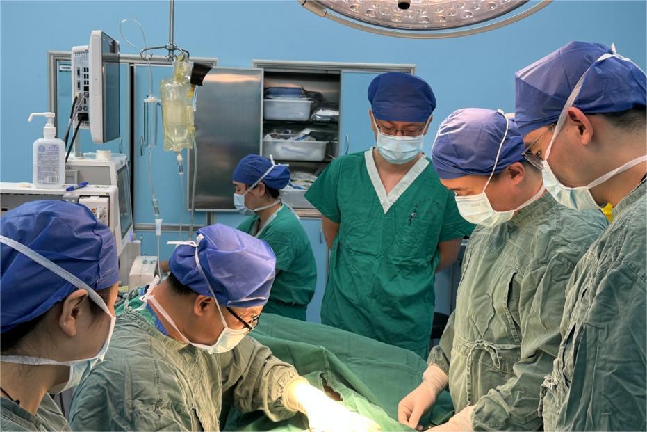 ����ʡ�D�ױ���Ժ���M(j��n)�o�����t(y��)(li��n)�w���O(sh��)