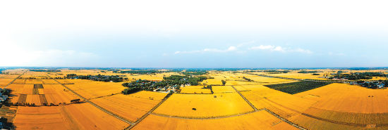 �������R�¡����o(h��)����ԭ�Z�}��