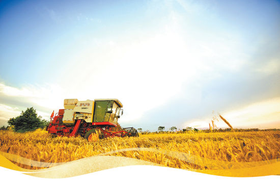 ���ԣ��L(f��ng)�겻��(d��ng)�Z��ɽ