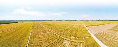 ����С�����N��ʷ���������е����ڵ������ի@