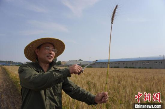 ������ɫС����ͬ������2�׸� �������߲�