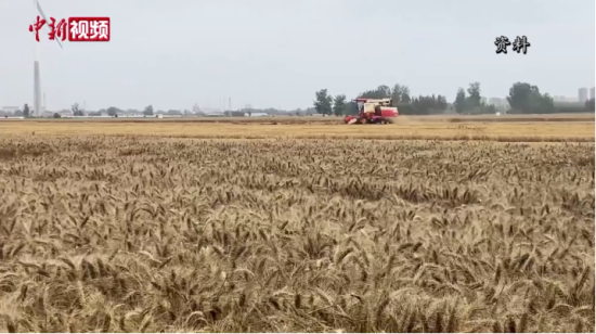 ����ԭ�Z�}��������?zh��n)ջ����Y(ji��)�� �ի@��e��8456�f��