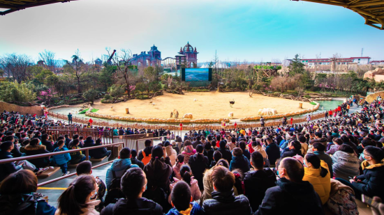 �y����(d��ng)������(gu��)���湥��