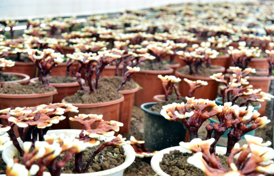 �����Կh�����������P�� �������r�ˡ��A��