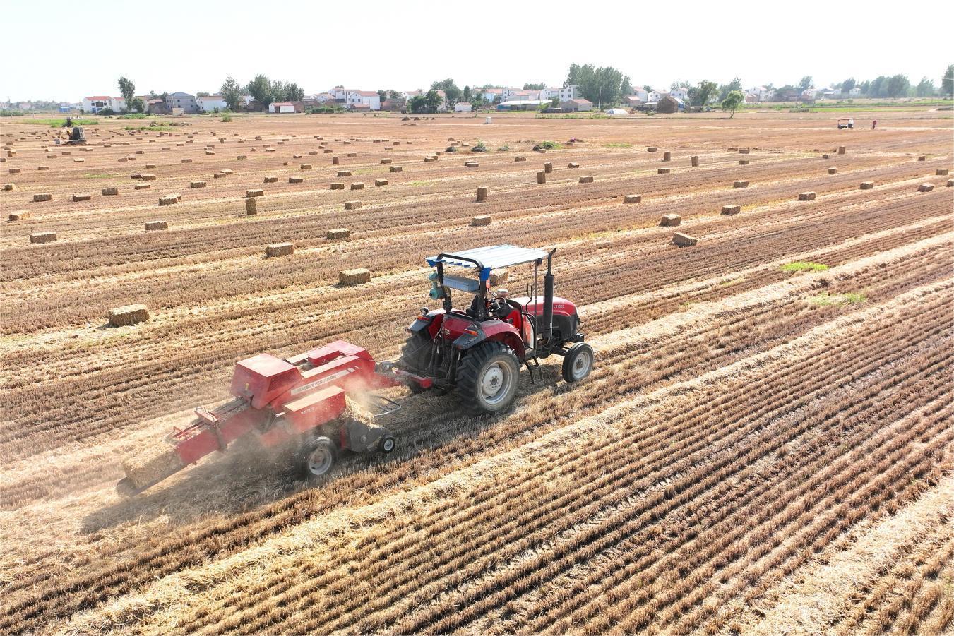 �Lԫ�з����(zh��n)���������R�¡����M(j��n)�ն������c�˾ӭh(hu��n)������